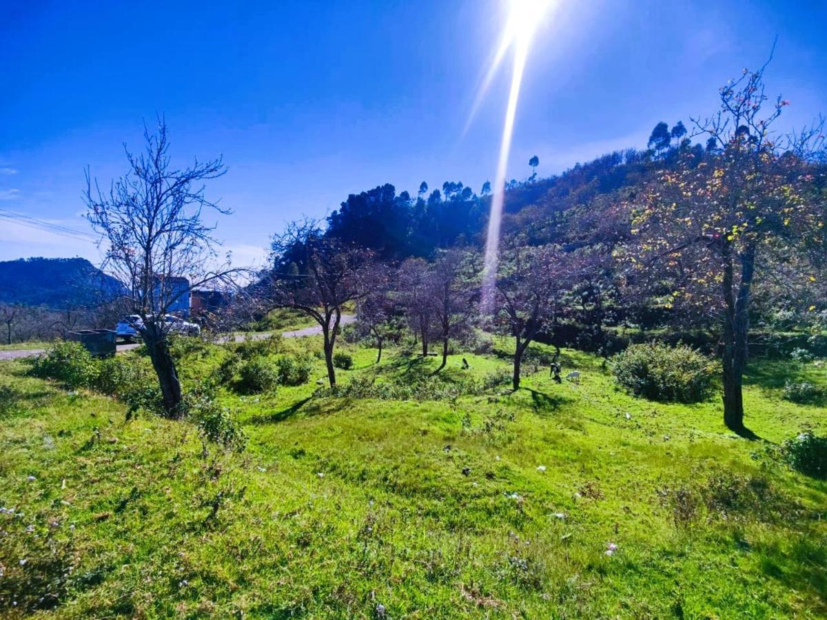 Salora Kodai Kodaikanal Exterior photo